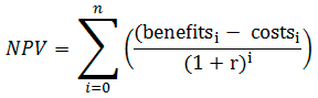 NPV equation