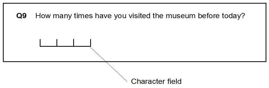 A characterfield in a numeric question